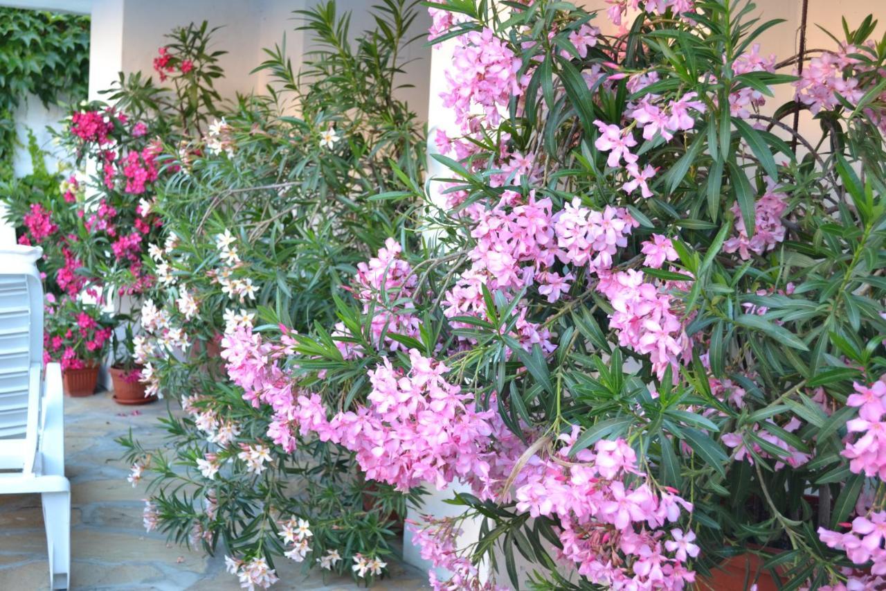 More Family Hotel Sozopol Luaran gambar